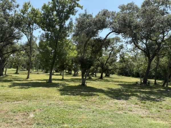 0 Fm 2611 Property Photo 8