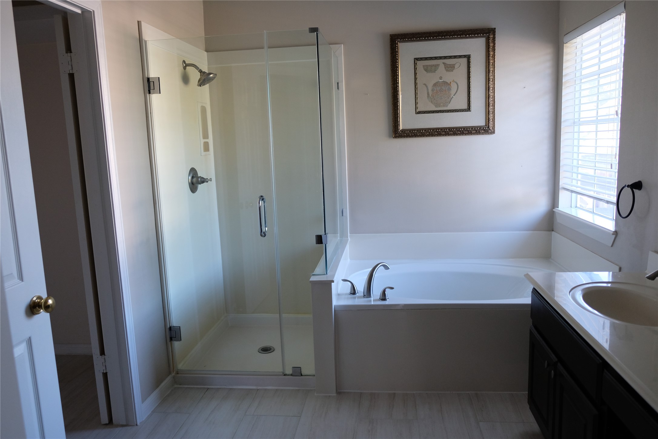 20434 Ivory Creek Lane Property Photo 28