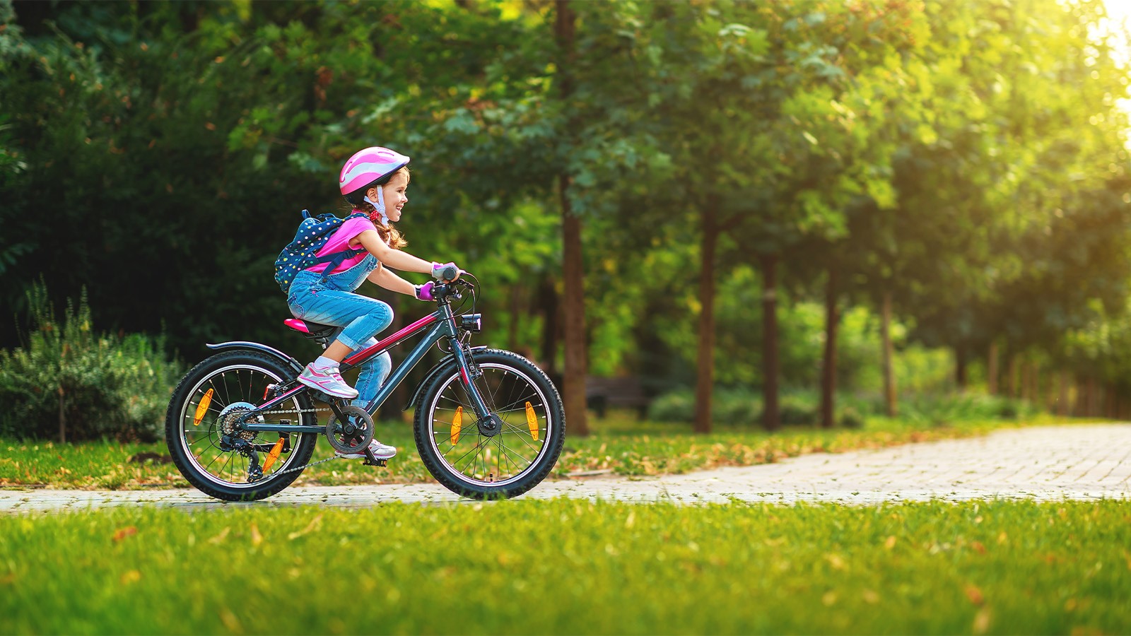 113 Wildflower Lane Property Photo 22