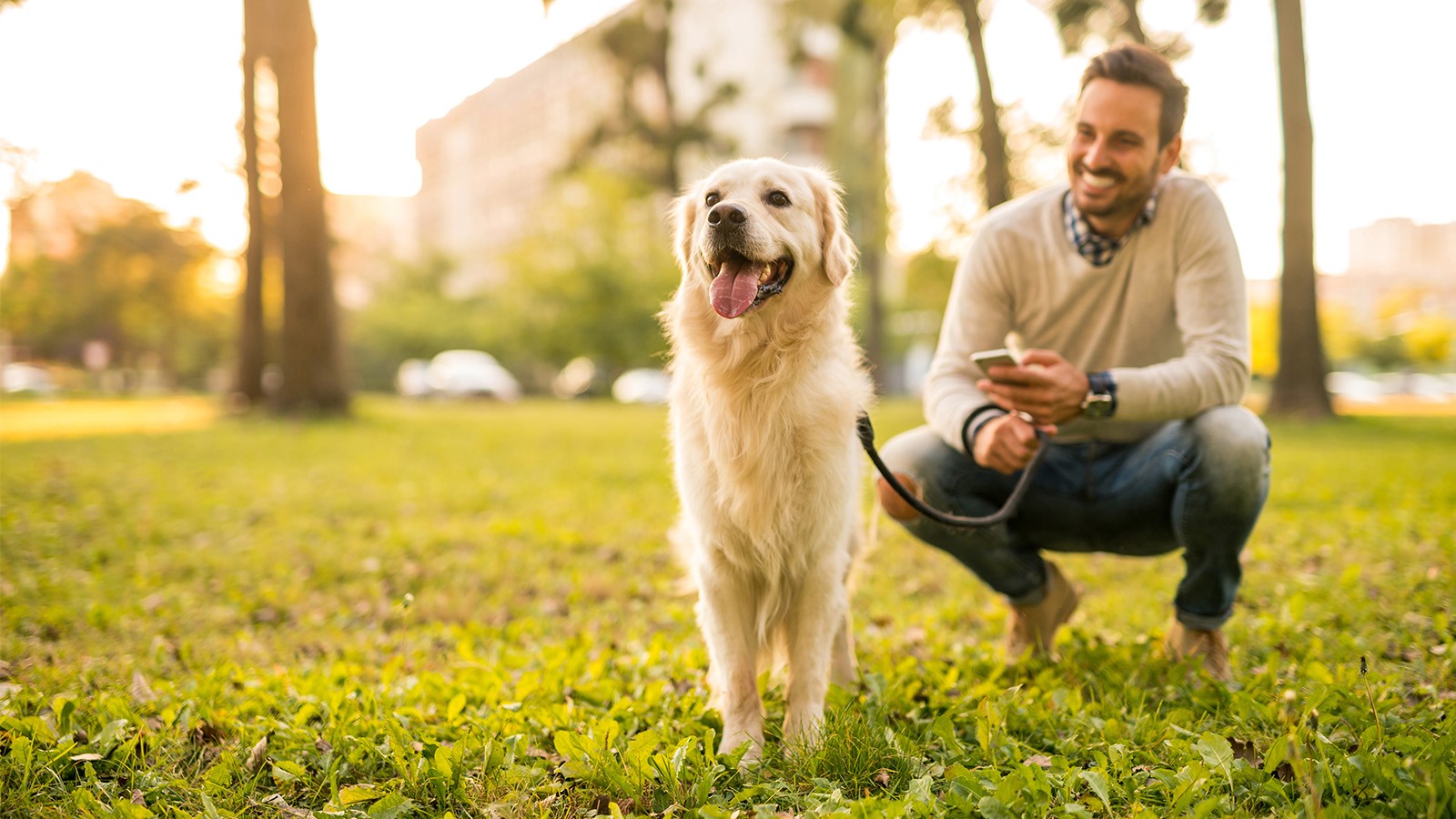 113 Wildflower Lane Property Photo 23