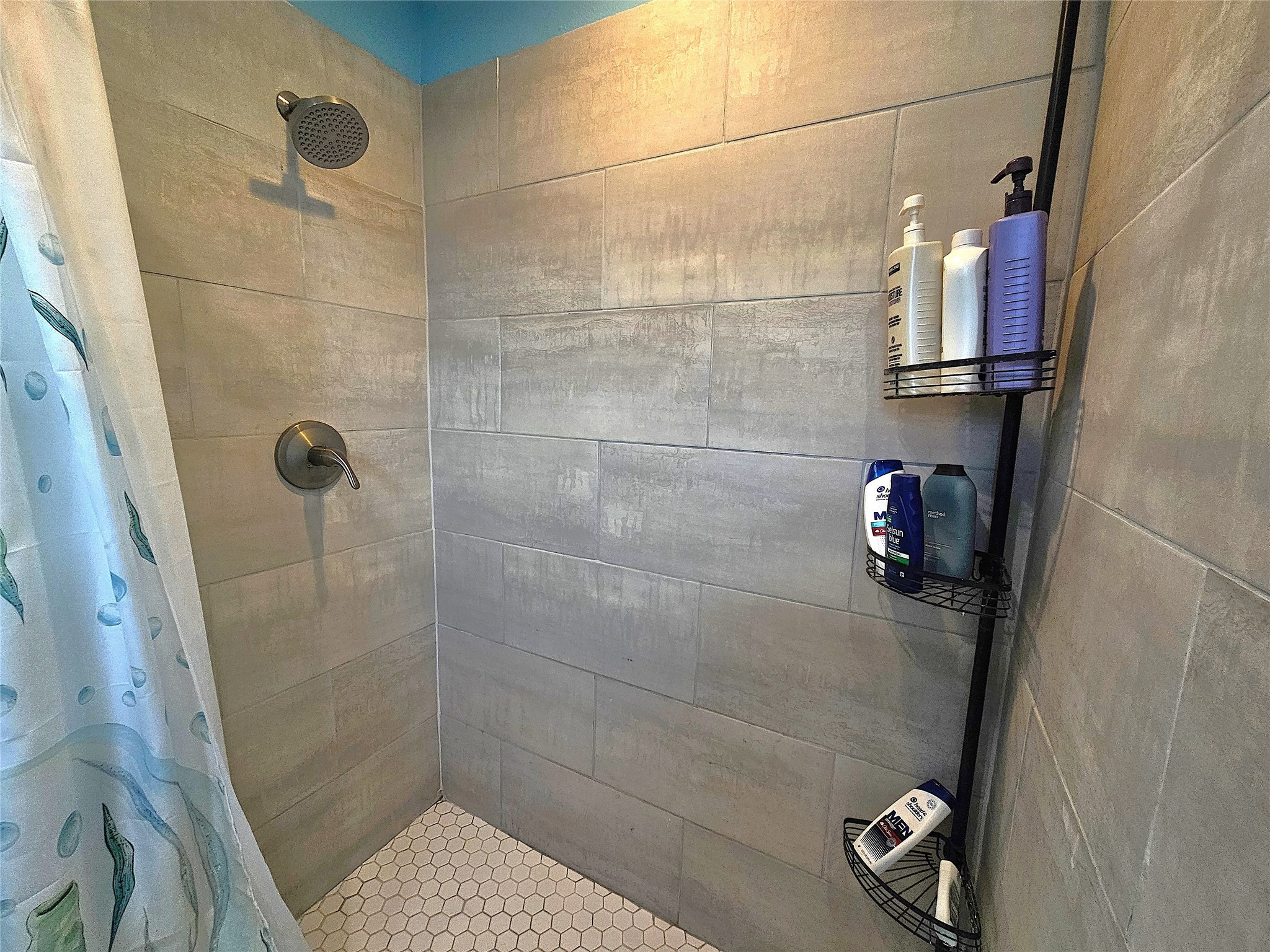 27478 Fm 457 Property Photo 11