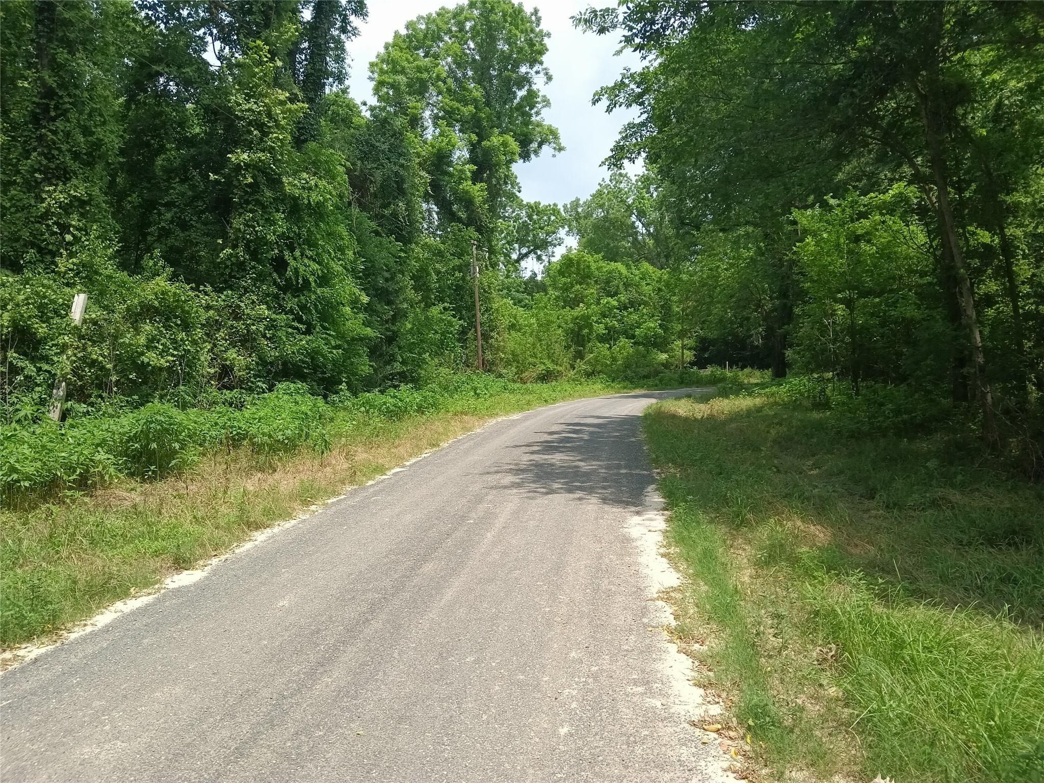 0 TBD County Road 2859 Property Photo 1