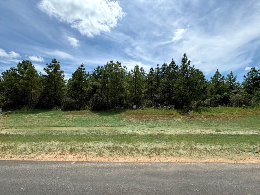 15925 Ridge Oak Road Property Photo 3