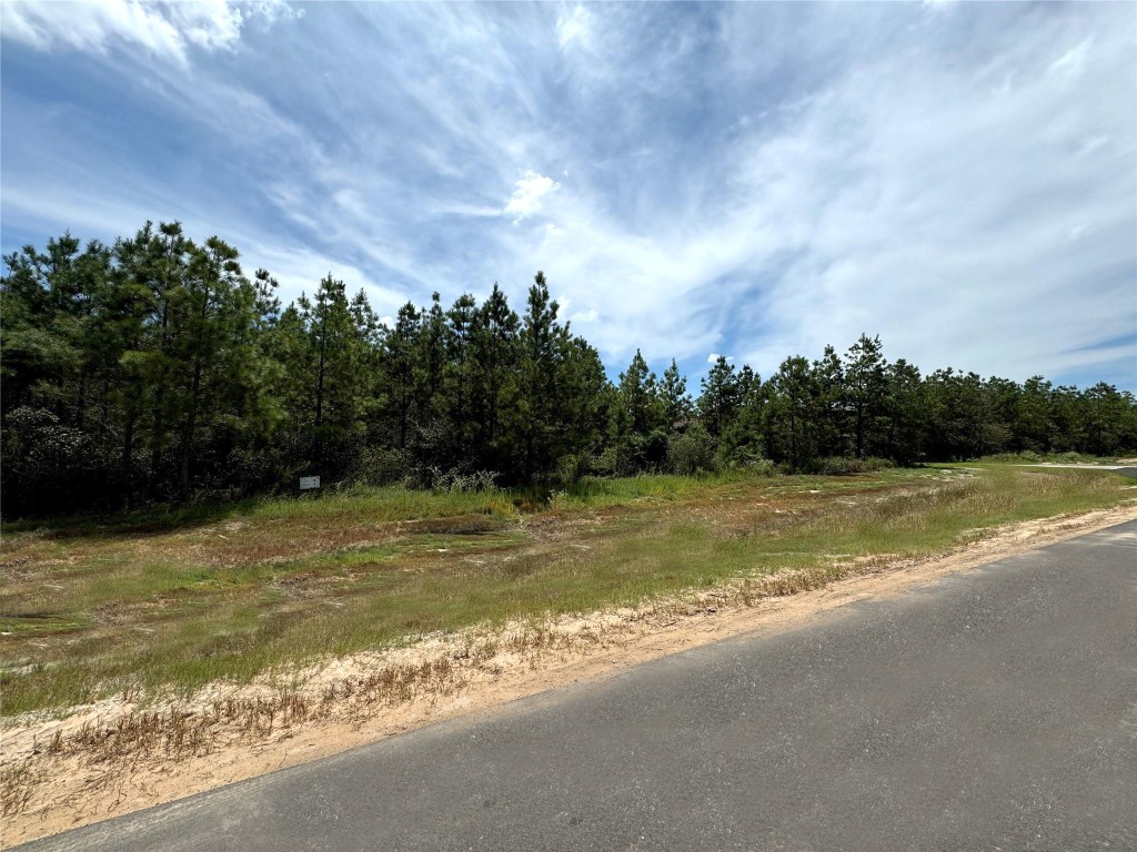 15925 Ridge Oak Road Property Photo 5