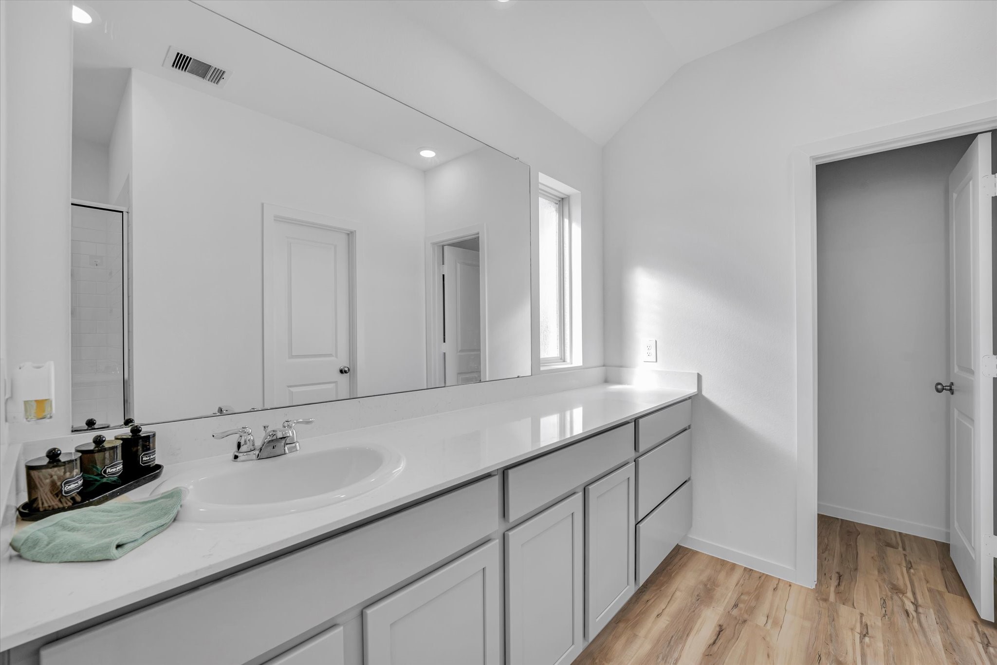 16911 Pin Cherry Leaf Drive Property Photo 14