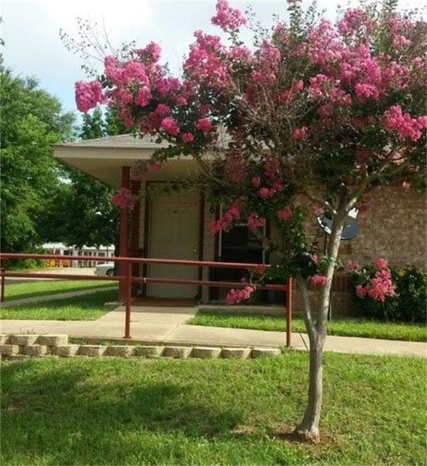 1500 E Marshall Avenue Property Photo 1