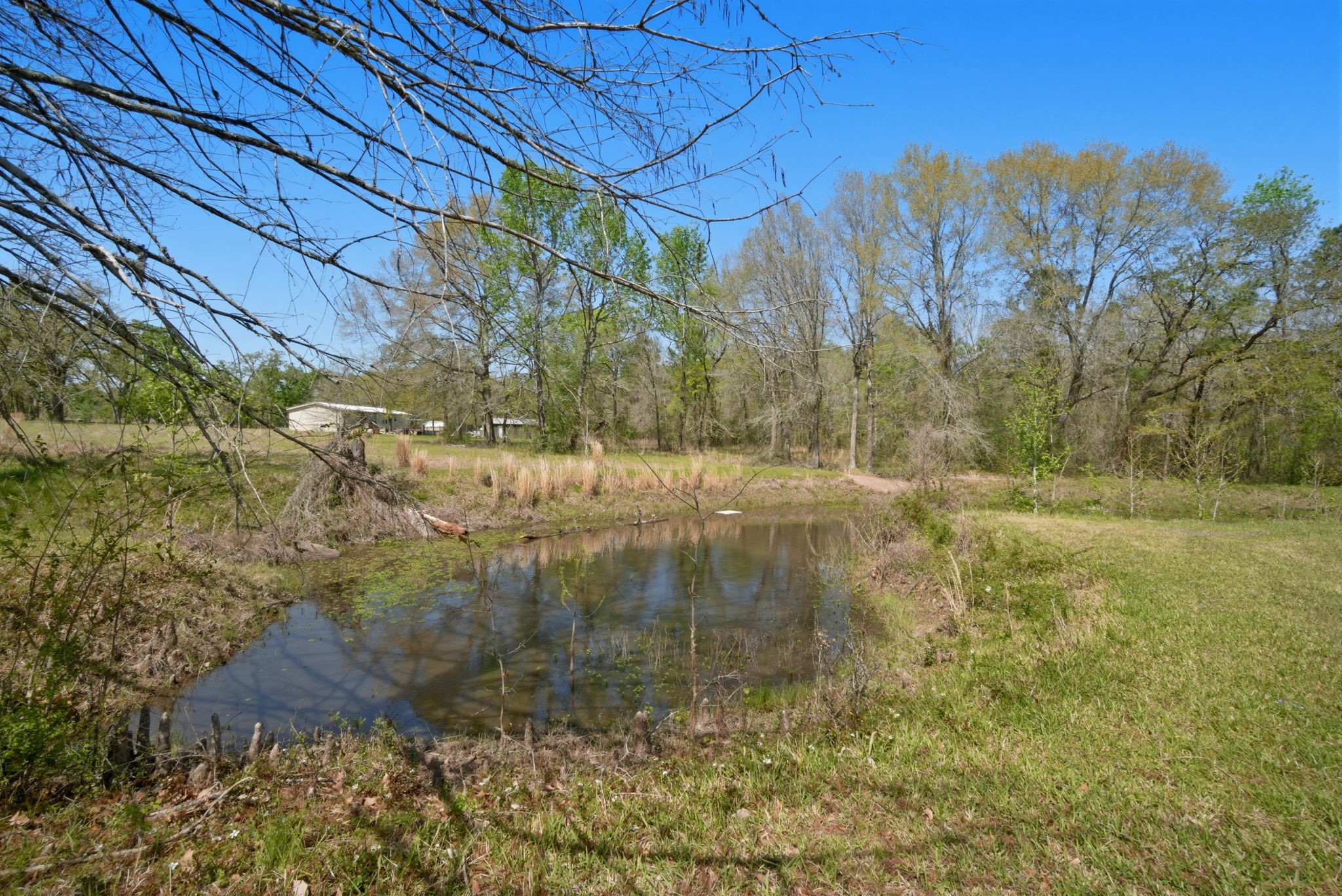 15 Brumley Drive Property Photo 9