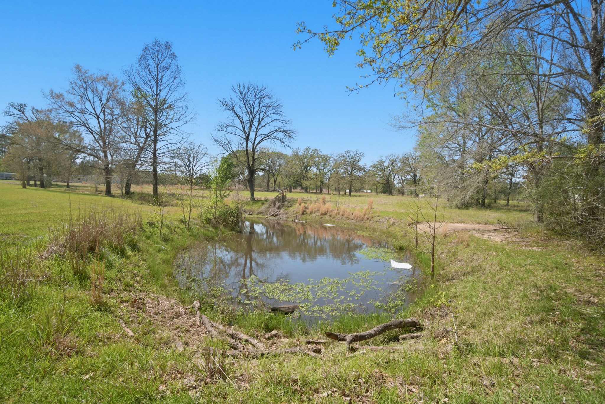 15 Brumley Drive Property Photo 10