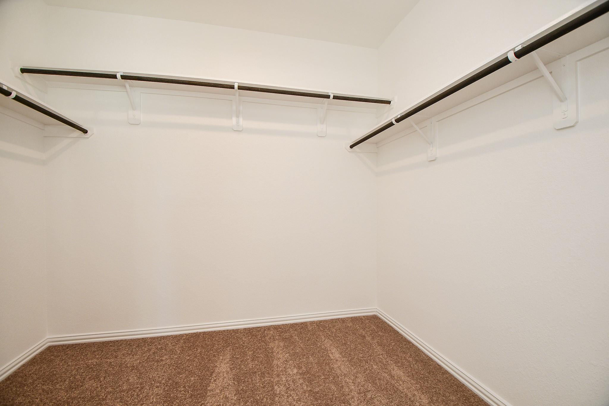 31306 Black Forest Crossing Property Photo 20