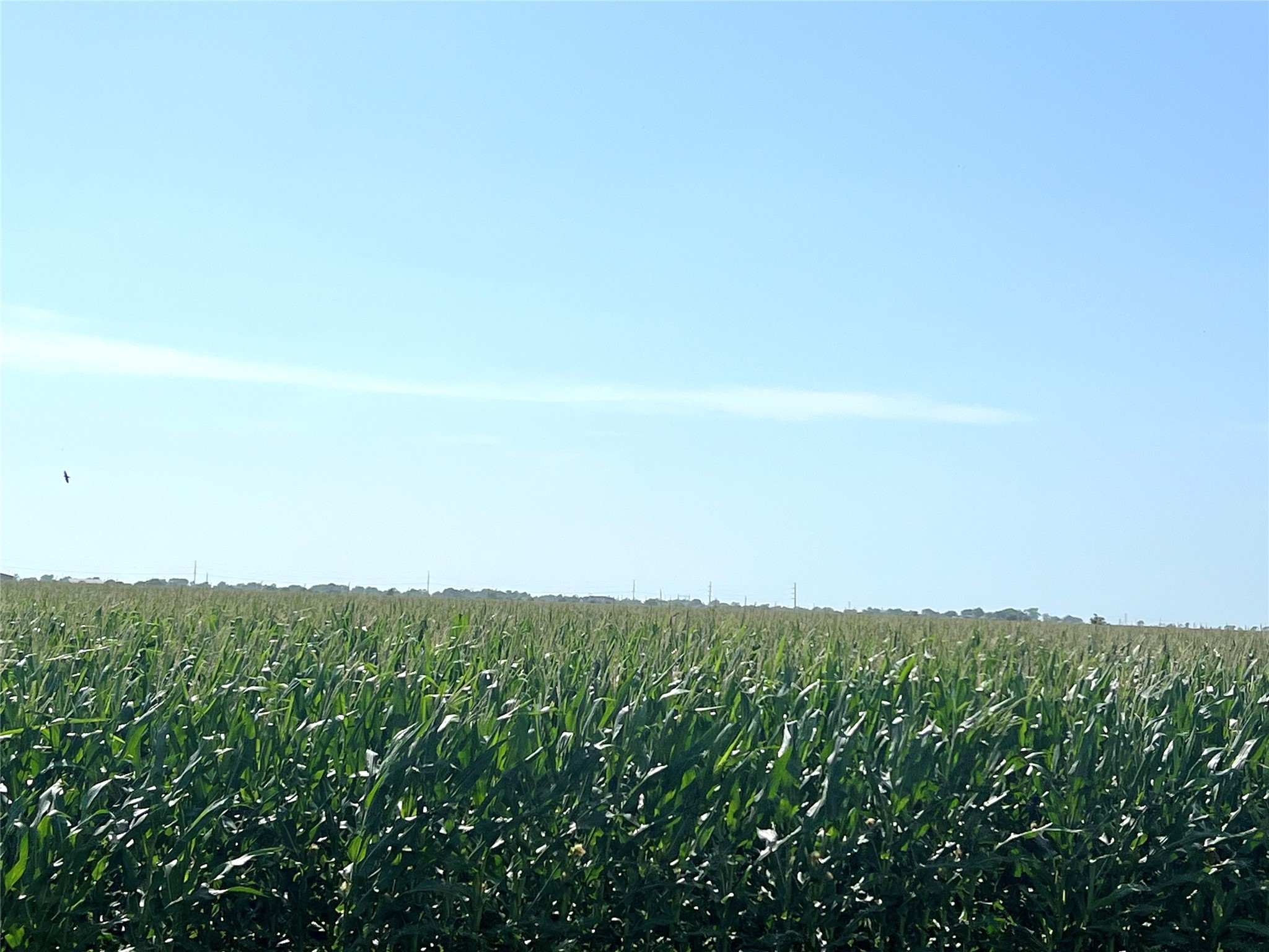 00 County Road 403 Property Photo 1