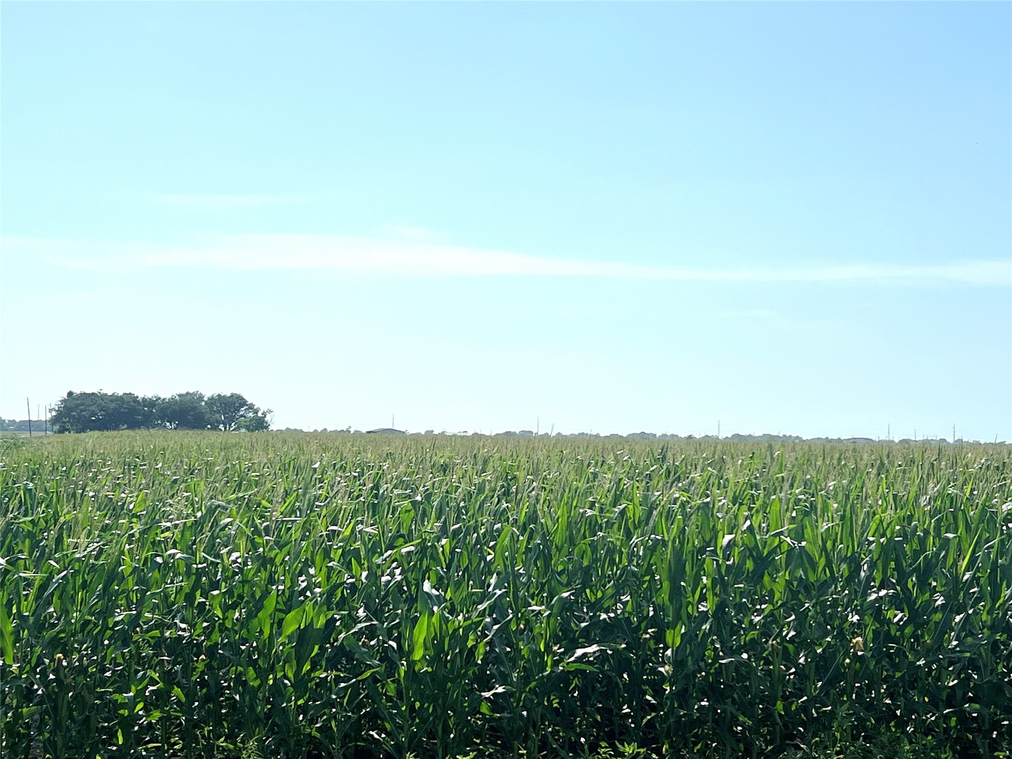 00 County Road 403 Property Photo 2