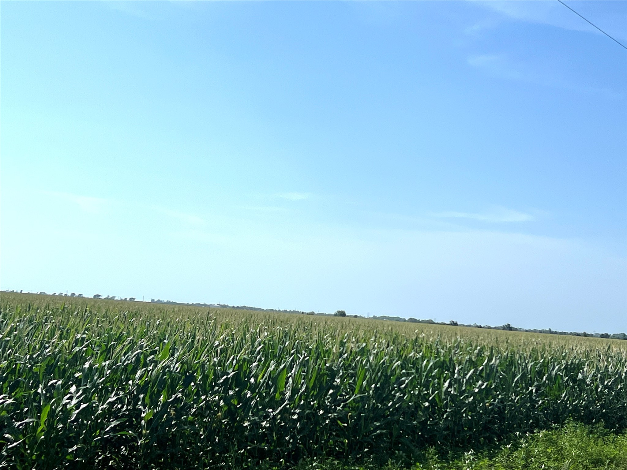 00 County Road 403 Property Photo 3