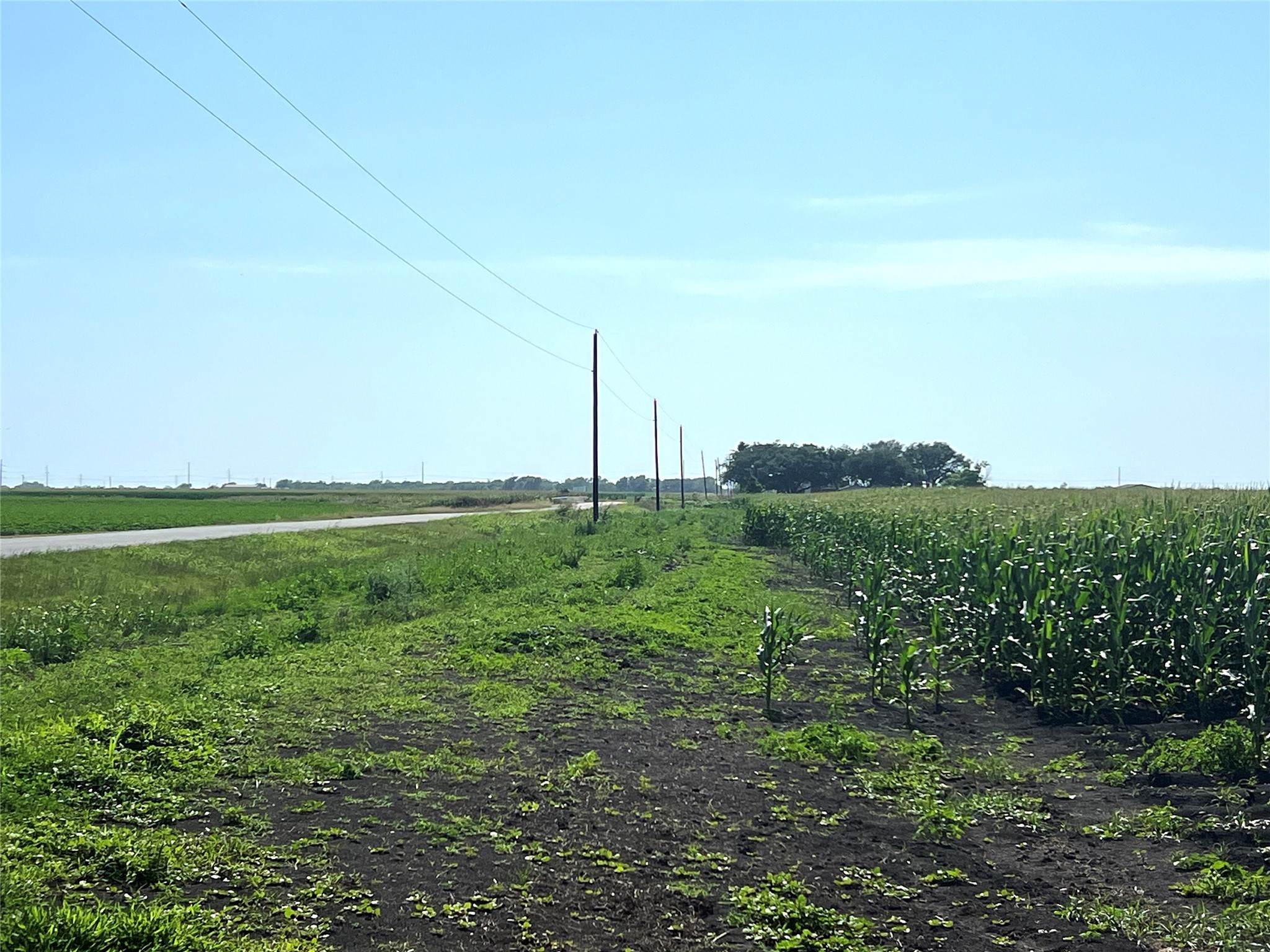 00 County Road 403 Property Photo 5