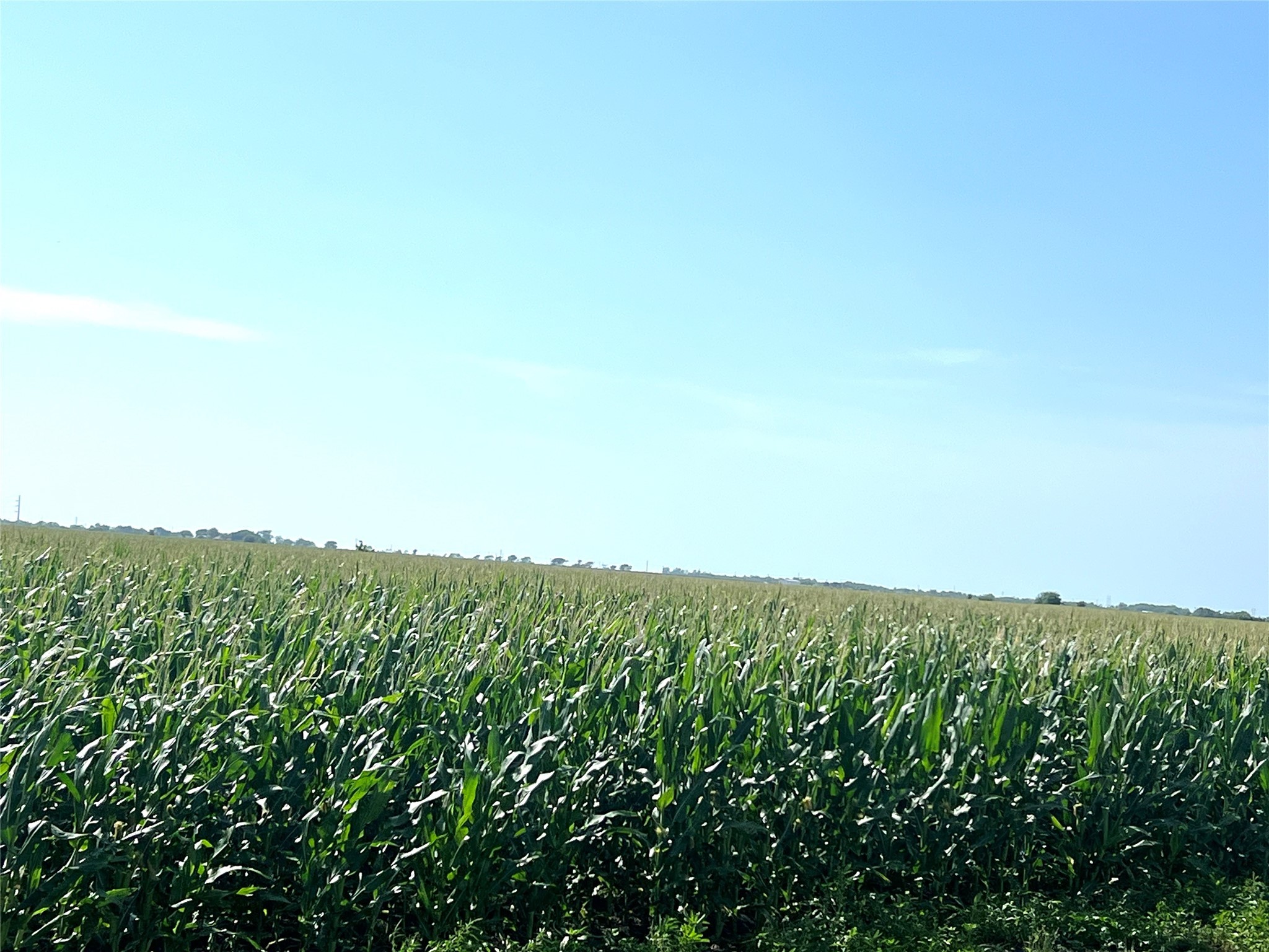 00 County Road 403 Property Photo 6