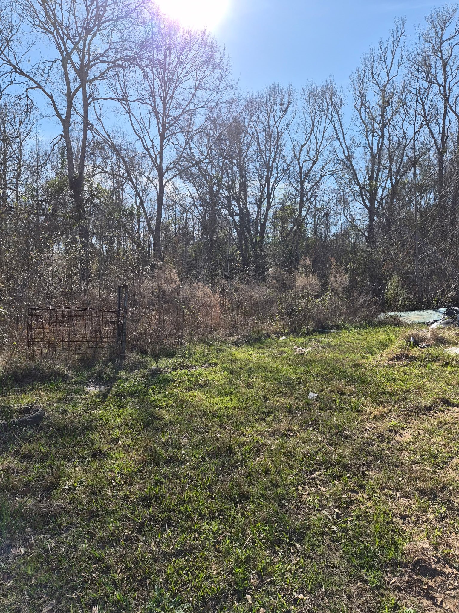 198 County Road 2271 Property Photo 3