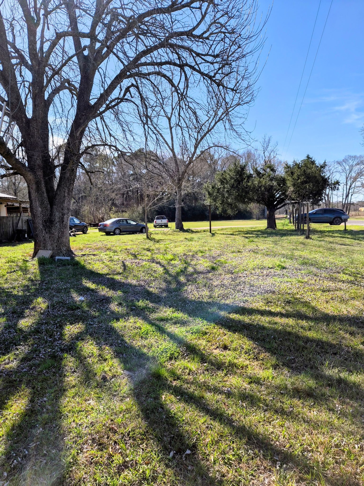 198 County Road 2271 Property Photo 4