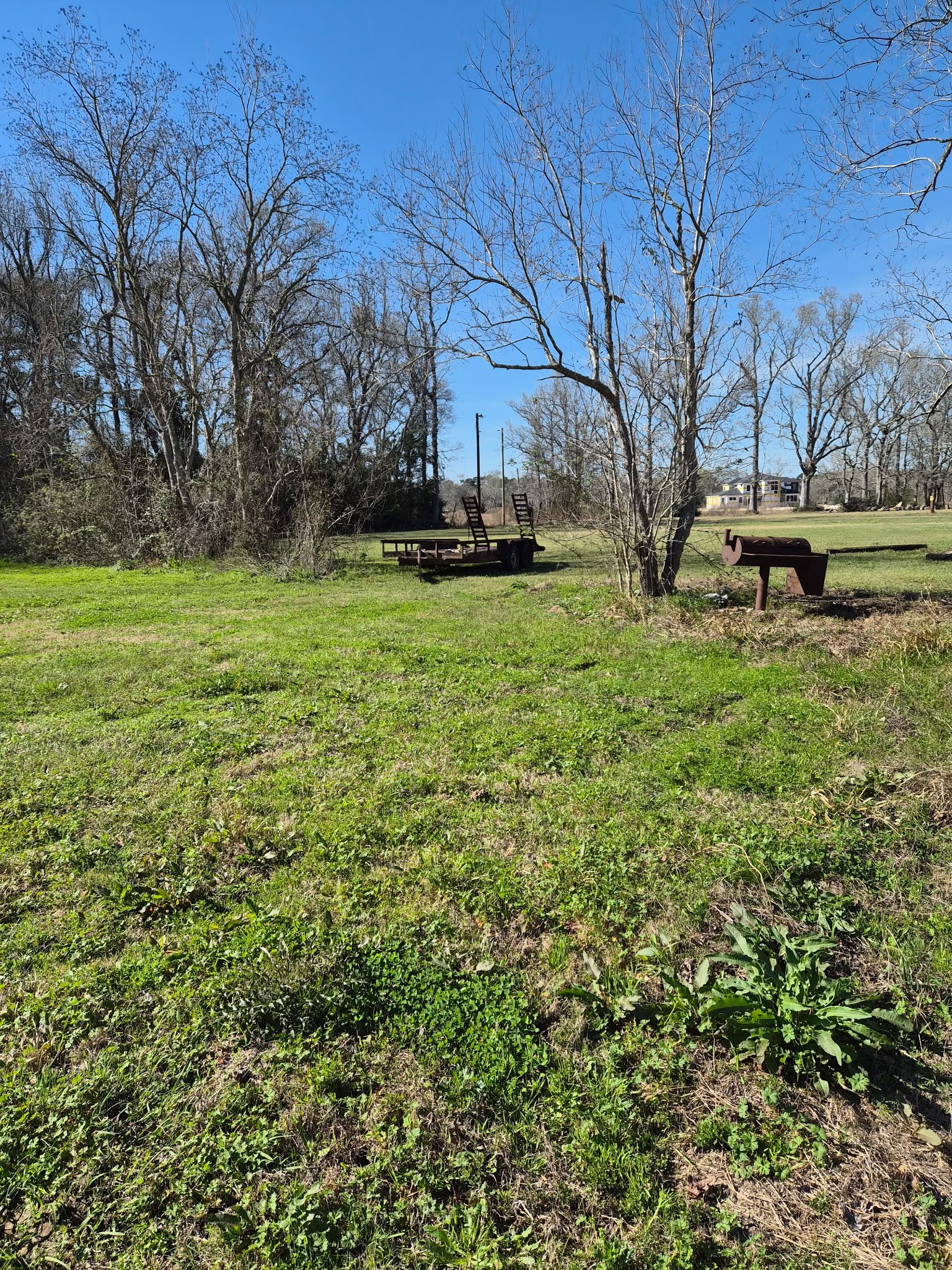 198 County Road 2271 Property Photo 5