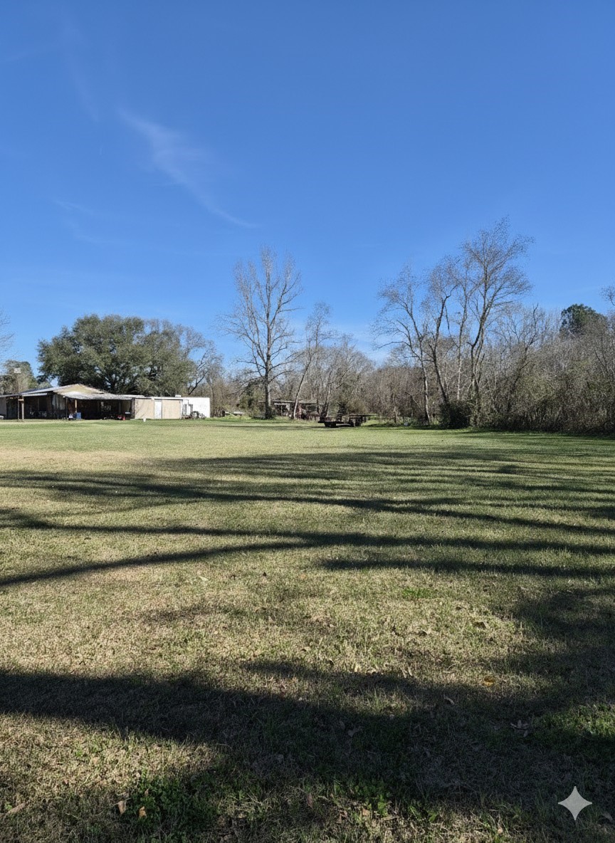 198 County Road 2271 Property Photo 6