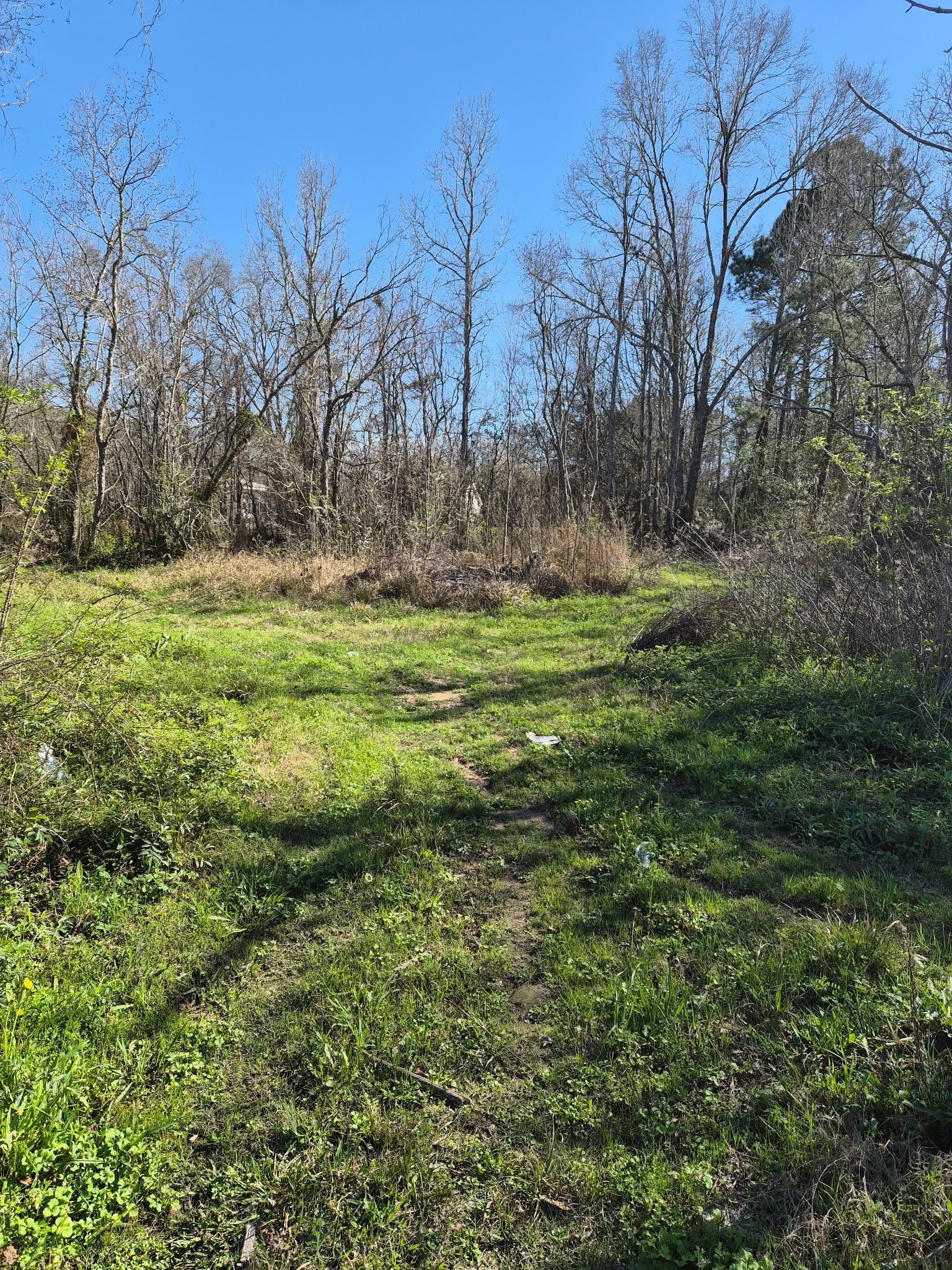 198 County Road 2271 Property Photo 10