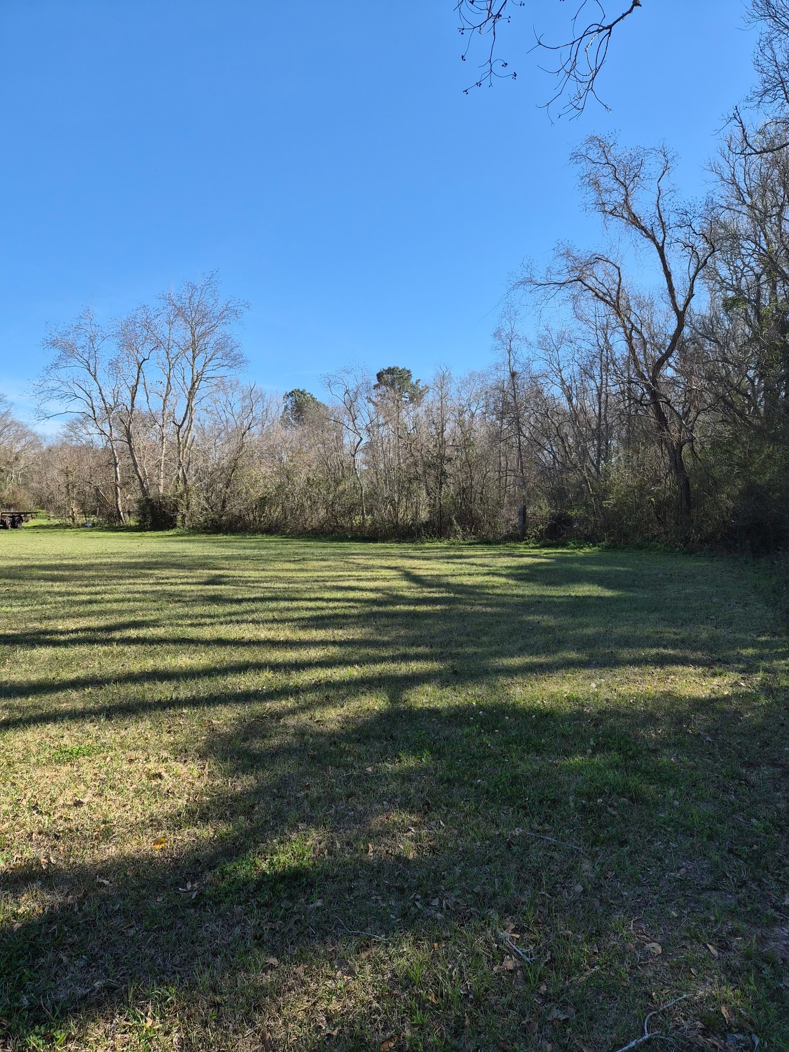 198 County Road 2271 Property Photo 11