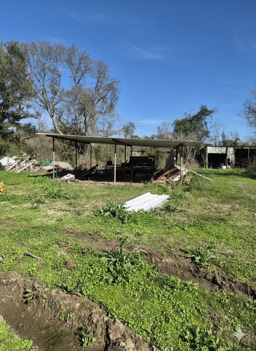 198 County Road 2271 Property Photo 15
