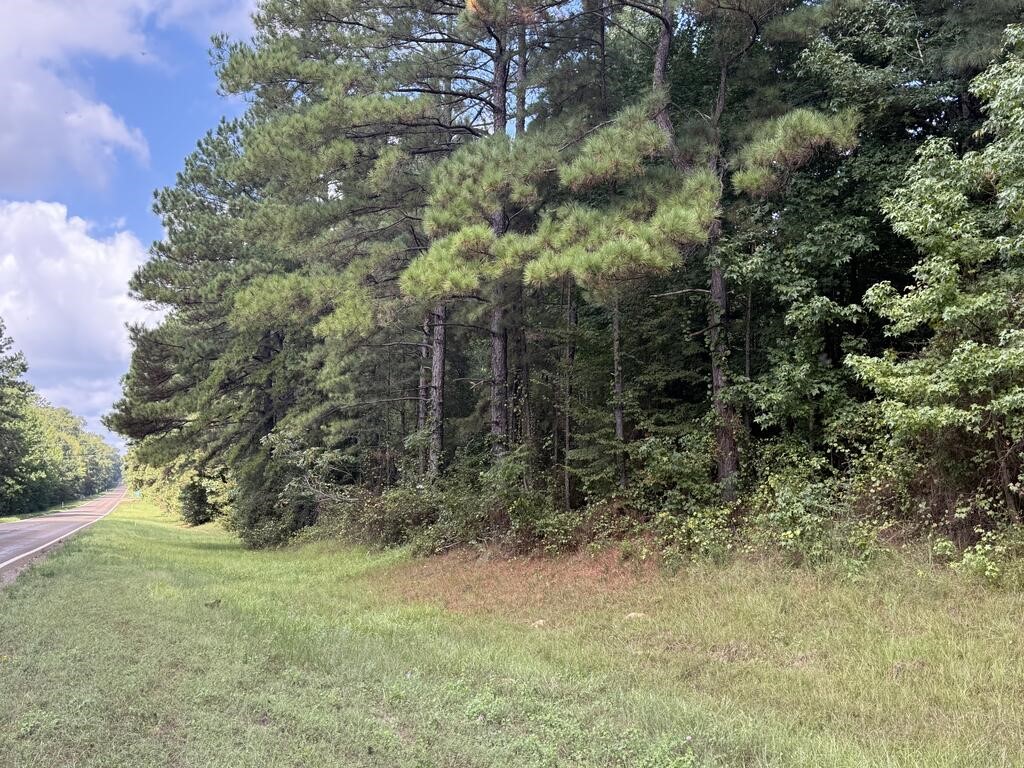 6000 Hwy 63 W Property Photo 2