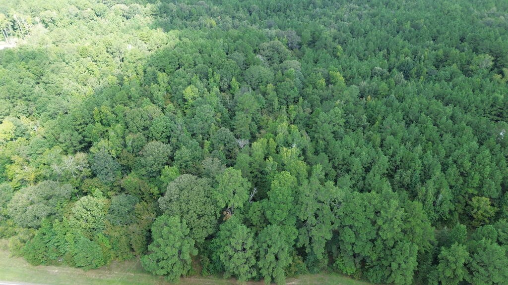 6000 Hwy 63 W Property Photo 10