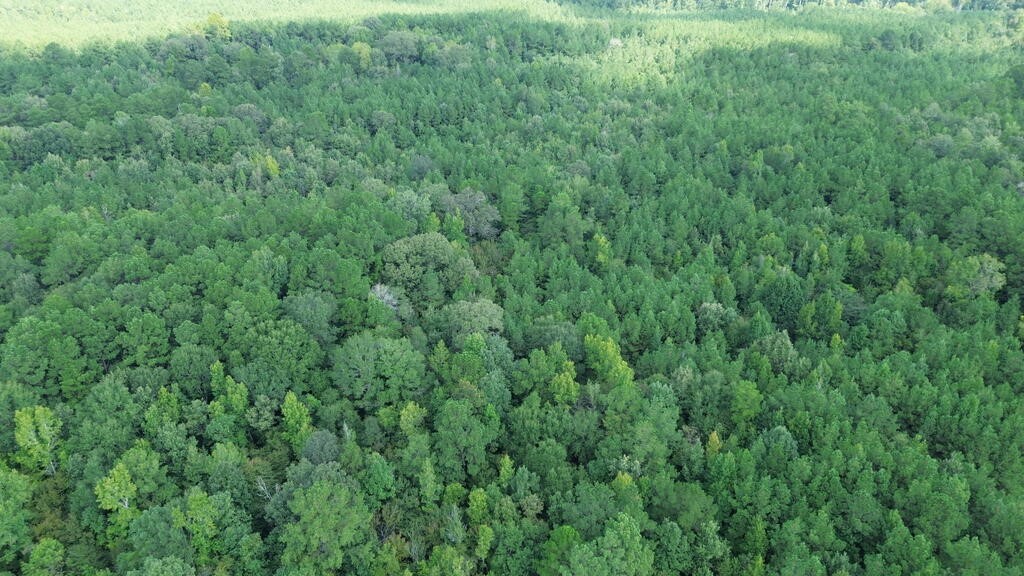 6000 Hwy 63 W Property Photo 11
