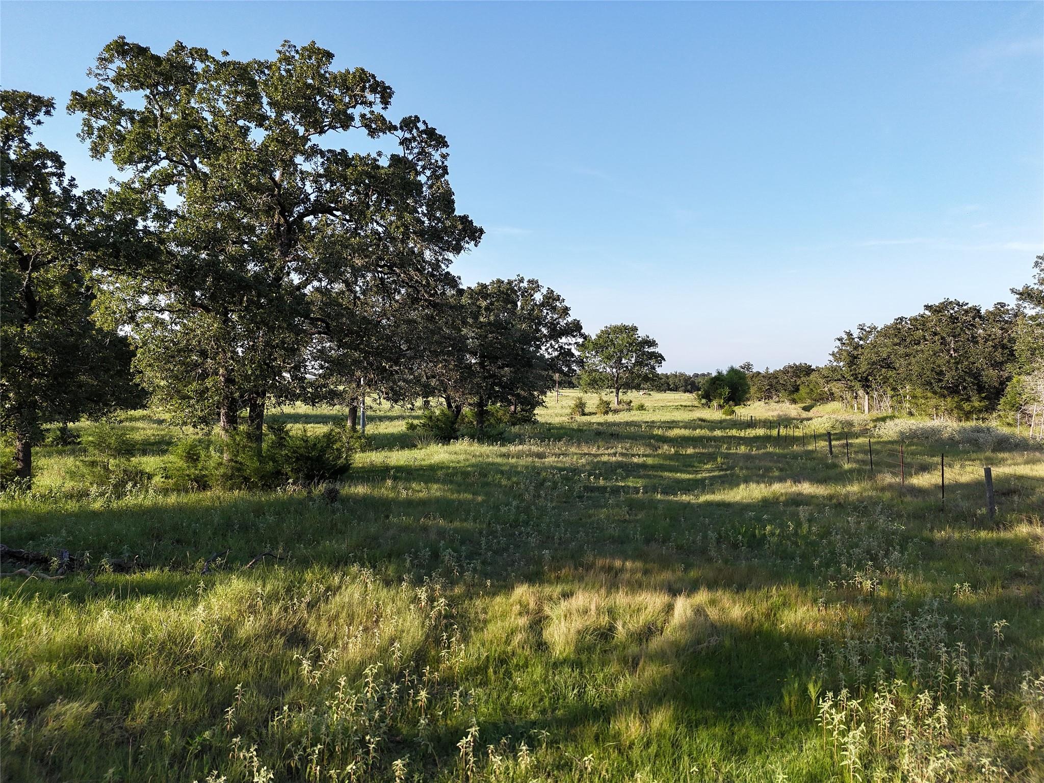 Tbd Fm-1361, Somerville Tx 77879 Property Photo 1