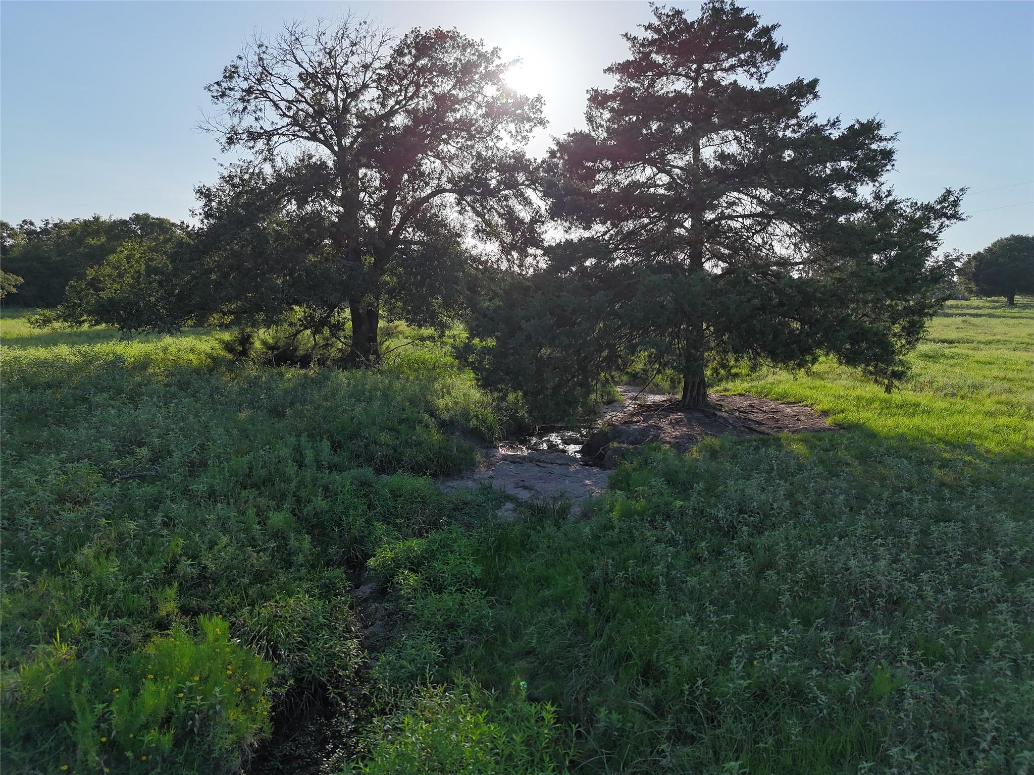 Tbd Fm-1361, Somerville Tx 77879 Property Photo 2