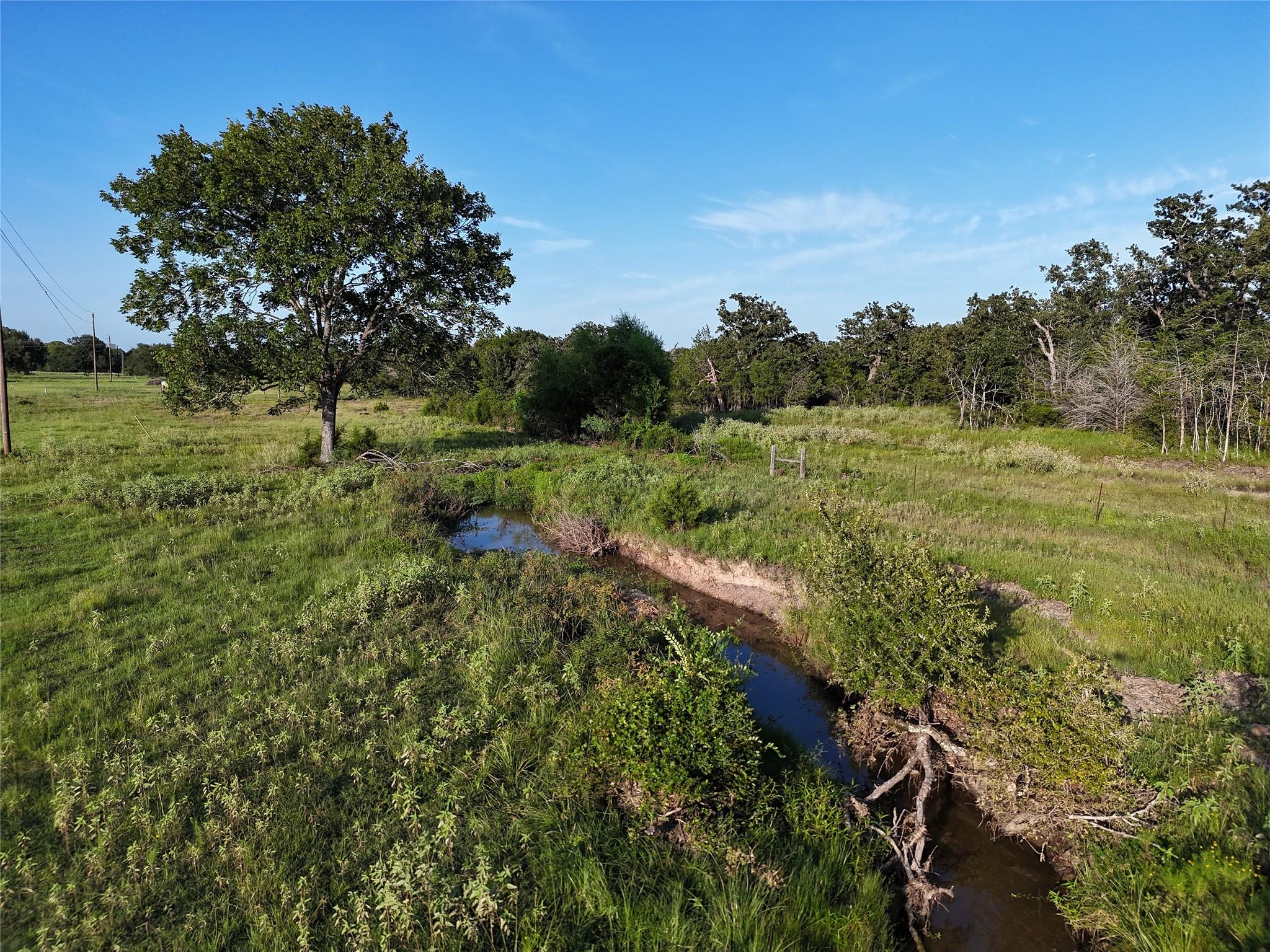 Tbd Fm-1361, Somerville Tx 77879 Property Photo 3