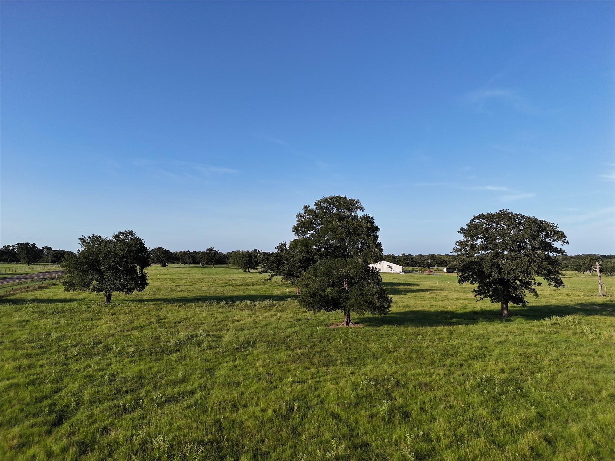 Tbd Fm-1361, Somerville Tx 77879 Property Photo 7