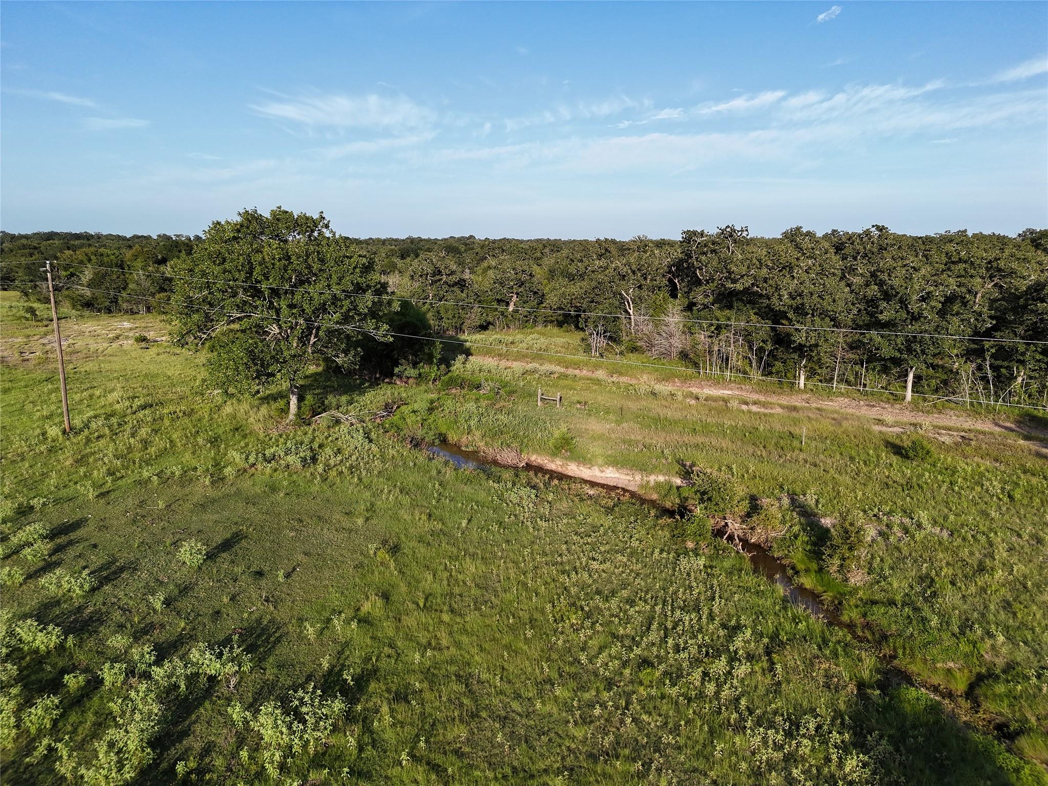 Tbd Fm-1361, Somerville Tx 77879 Property Photo 8