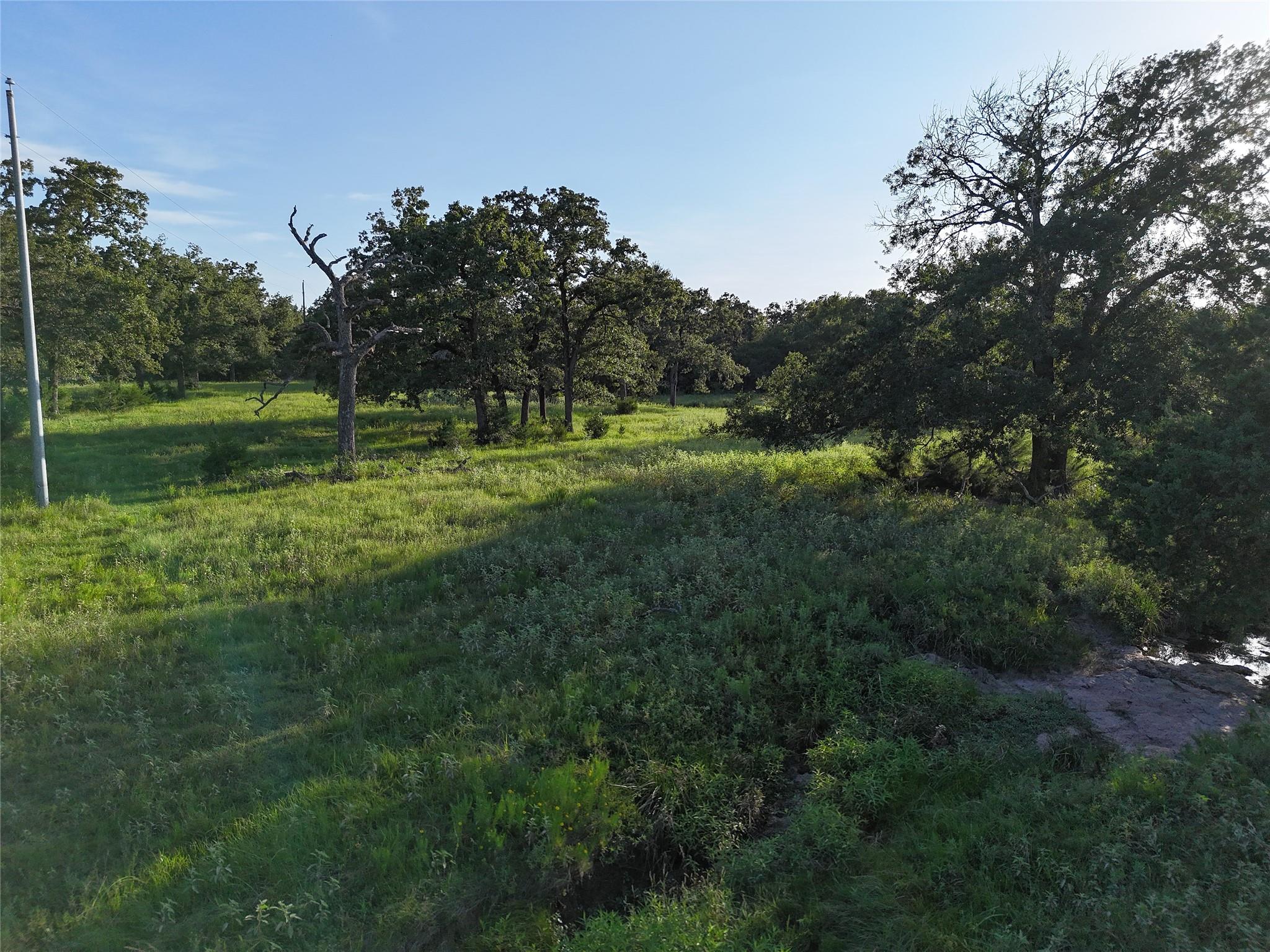 Tbd Fm-1361, Somerville Tx 77879 Property Photo 9