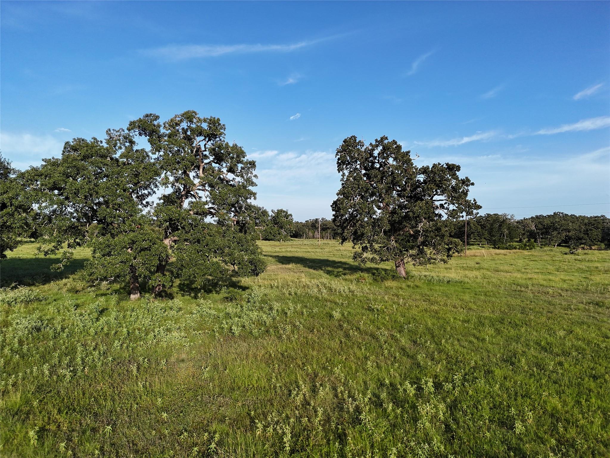 Tbd Fm-1361, Somerville Tx 77879 Property Photo 10