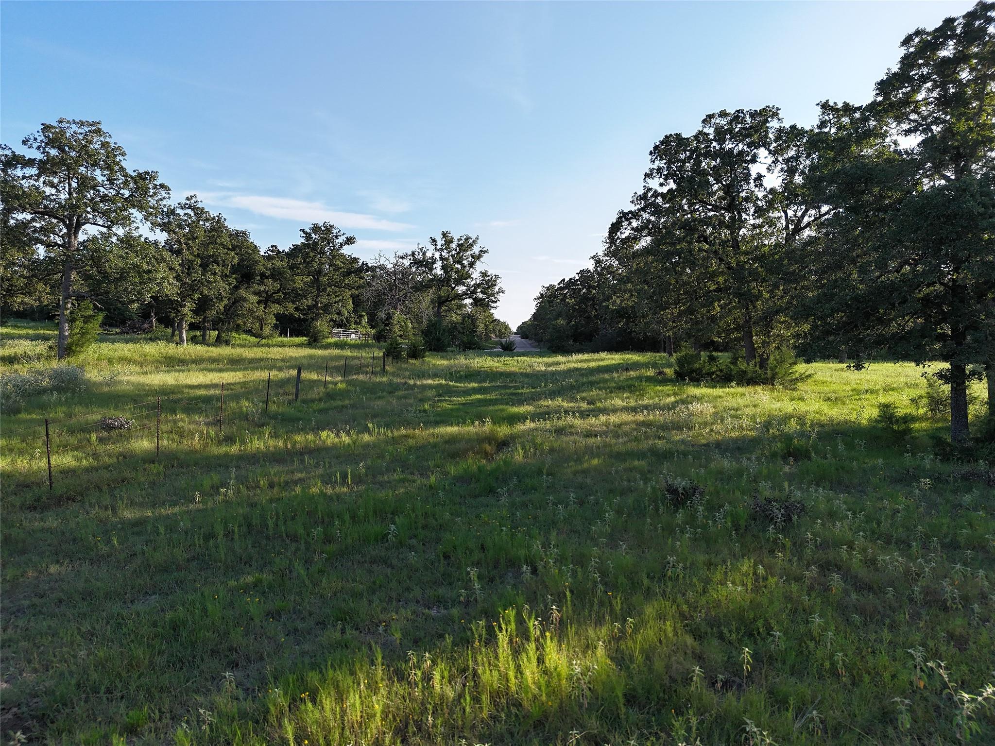 Tbd Fm-1361, Somerville Tx 77879 Property Photo 11