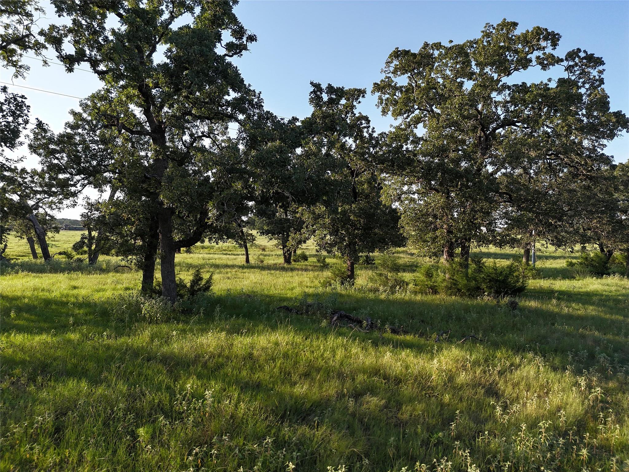 Tbd Fm-1361, Somerville Tx 77879 Property Photo 12