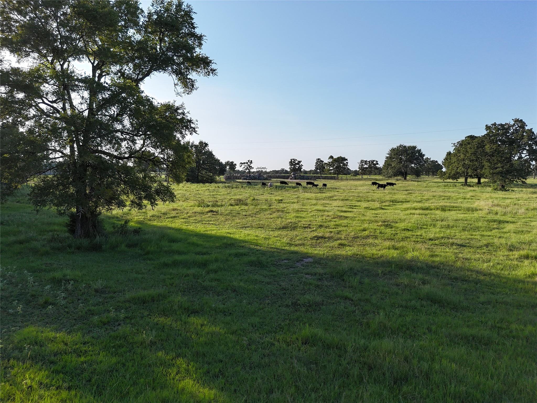 Tbd Fm-1361, Somerville Tx 77879 Property Photo 17