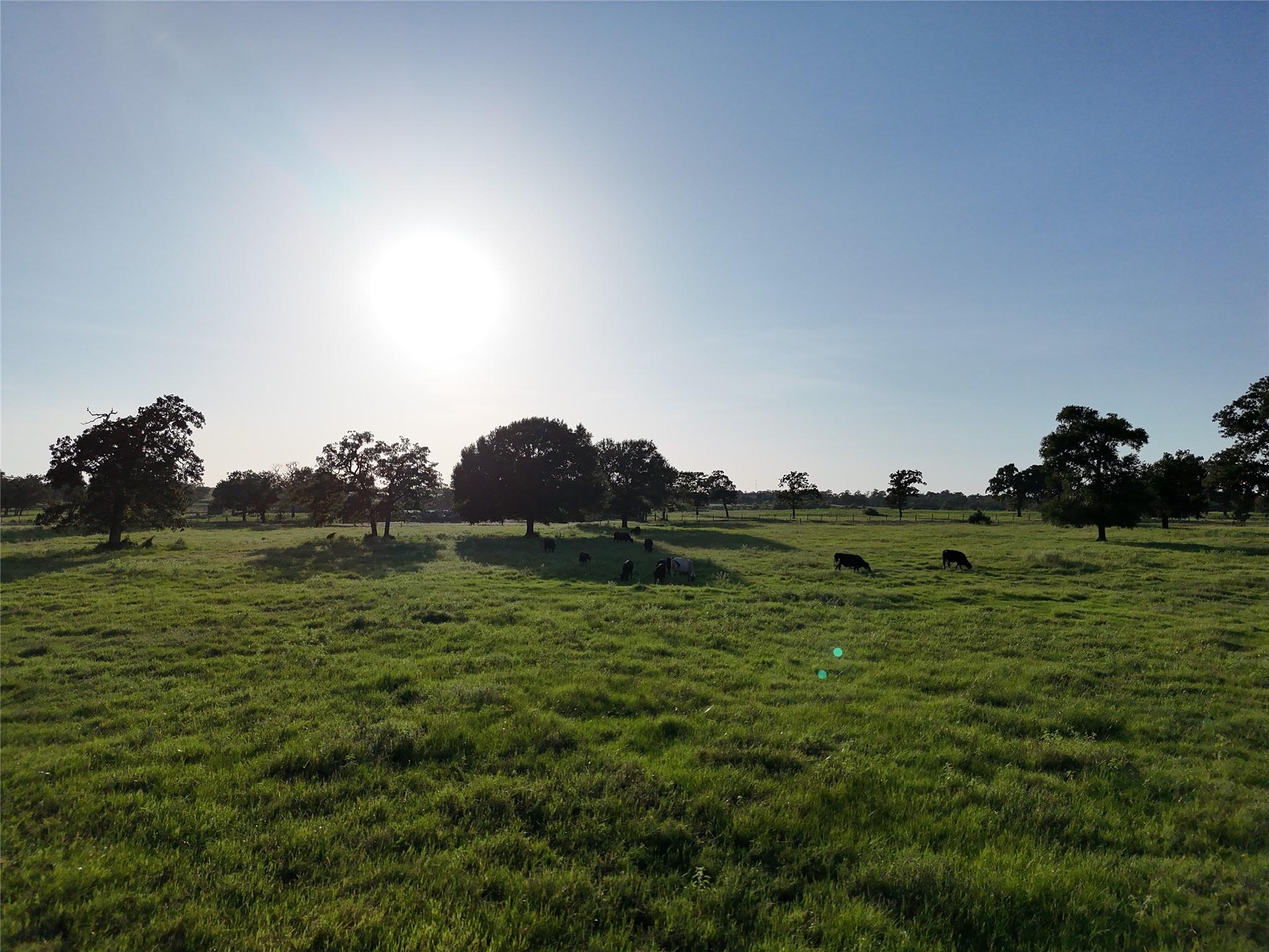 Tbd Fm-1361, Somerville Tx 77879 Property Photo 20