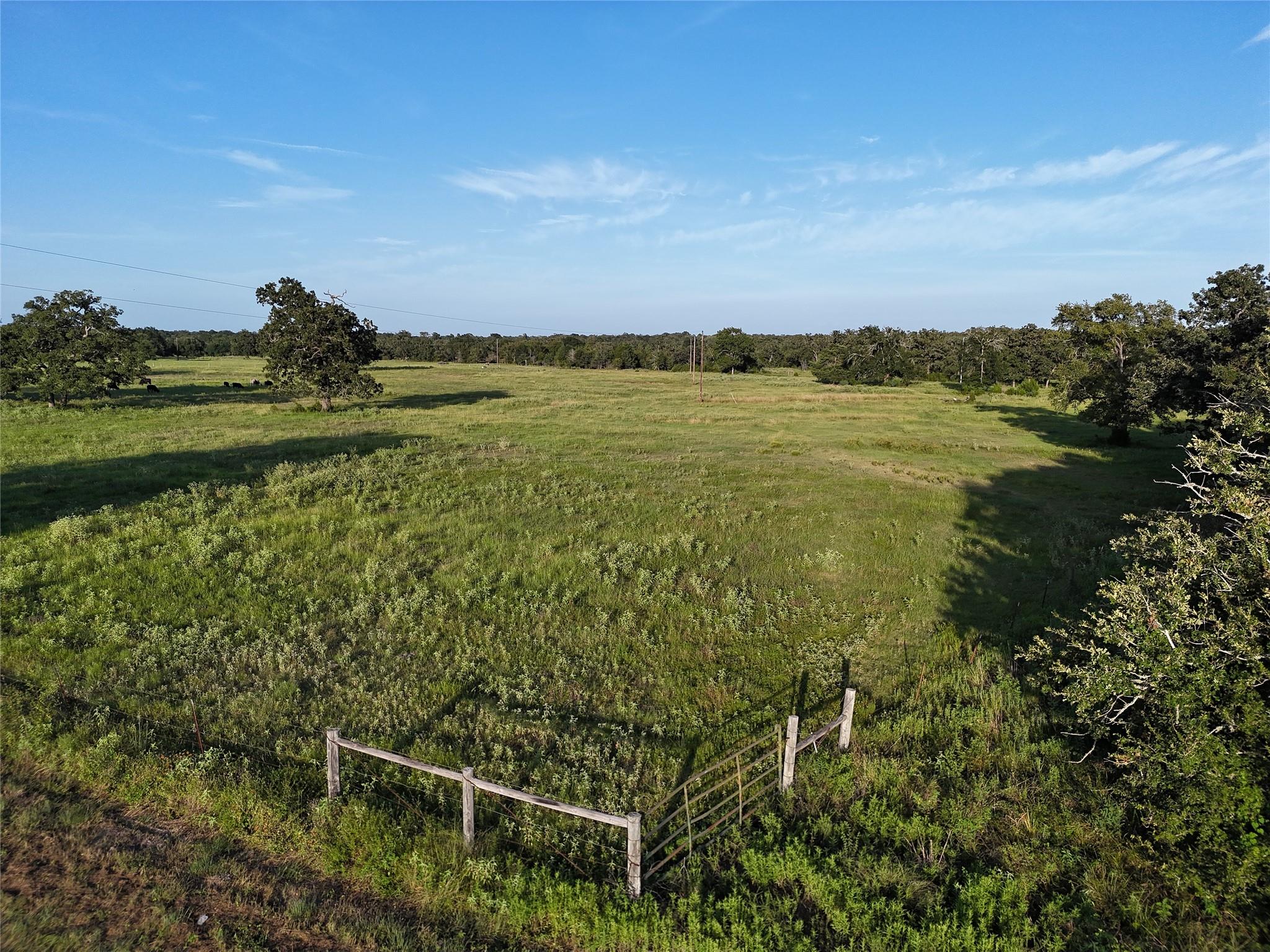 Tbd Fm-1361, Somerville Tx 77879 Property Photo 21