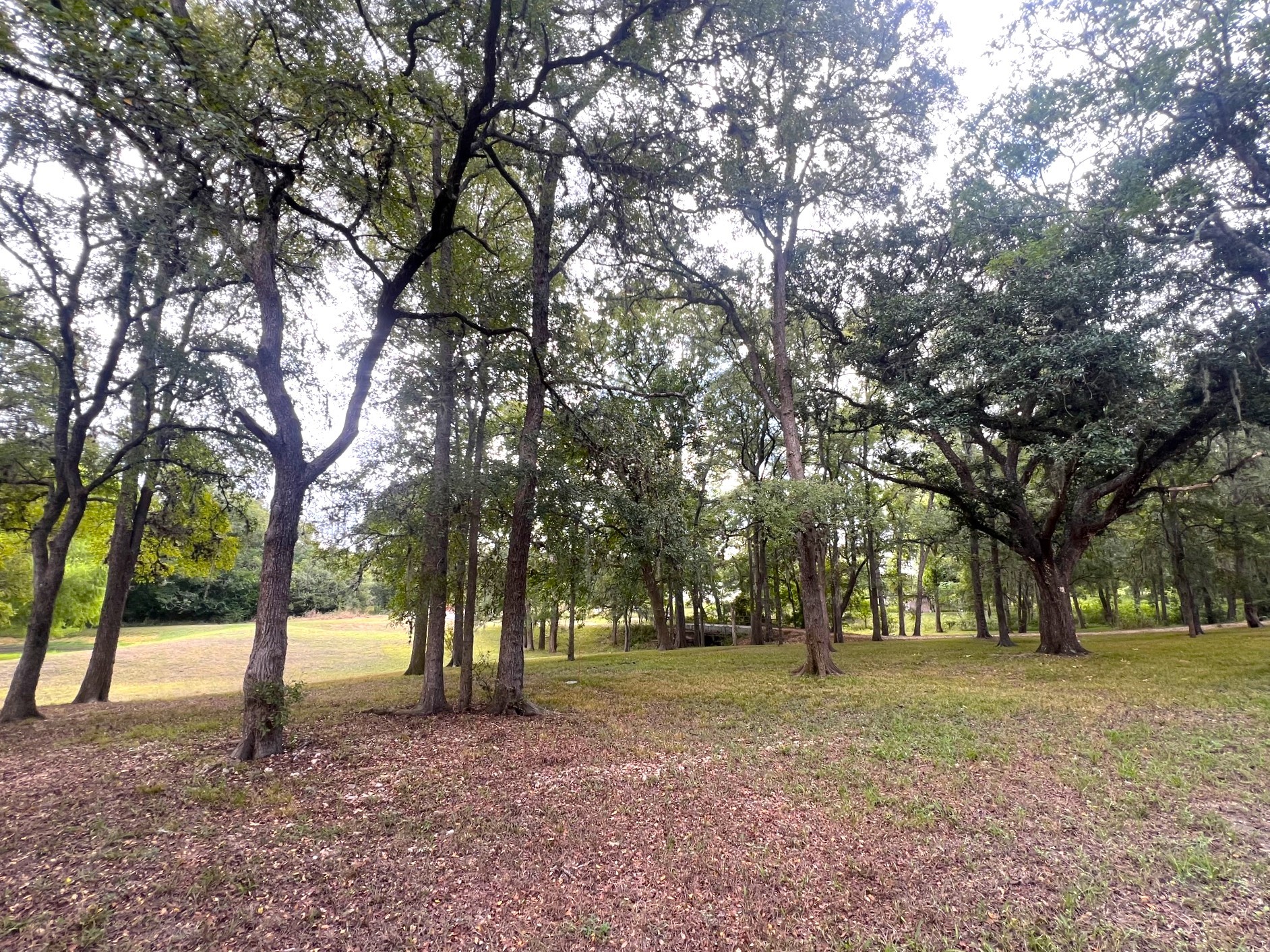1135 Buescher Road Property Photo 34