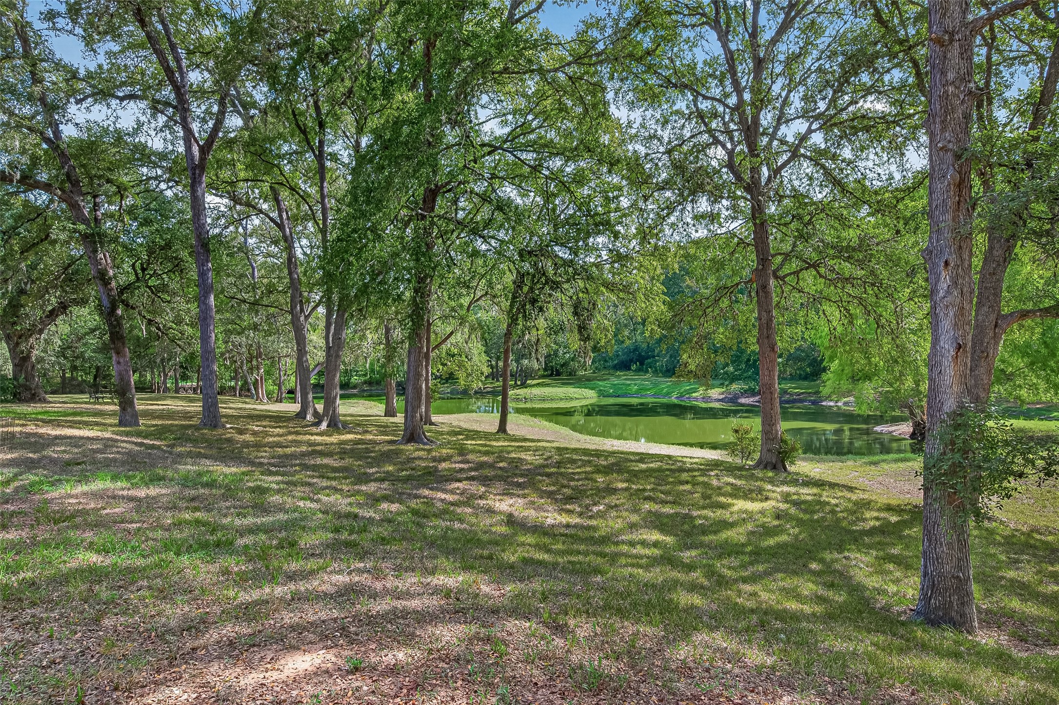 1135 Buescher Road Property Photo 40