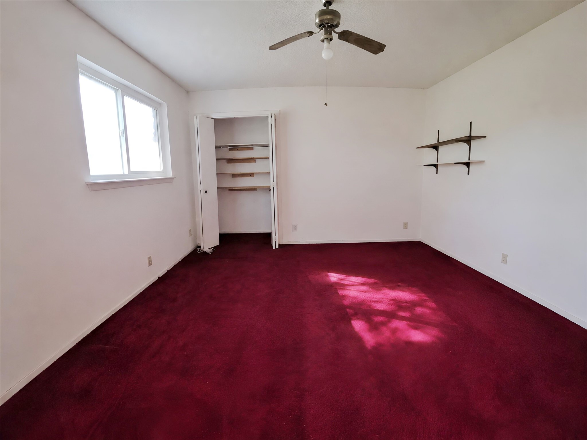 10104 Pond View Circle Property Photo 5