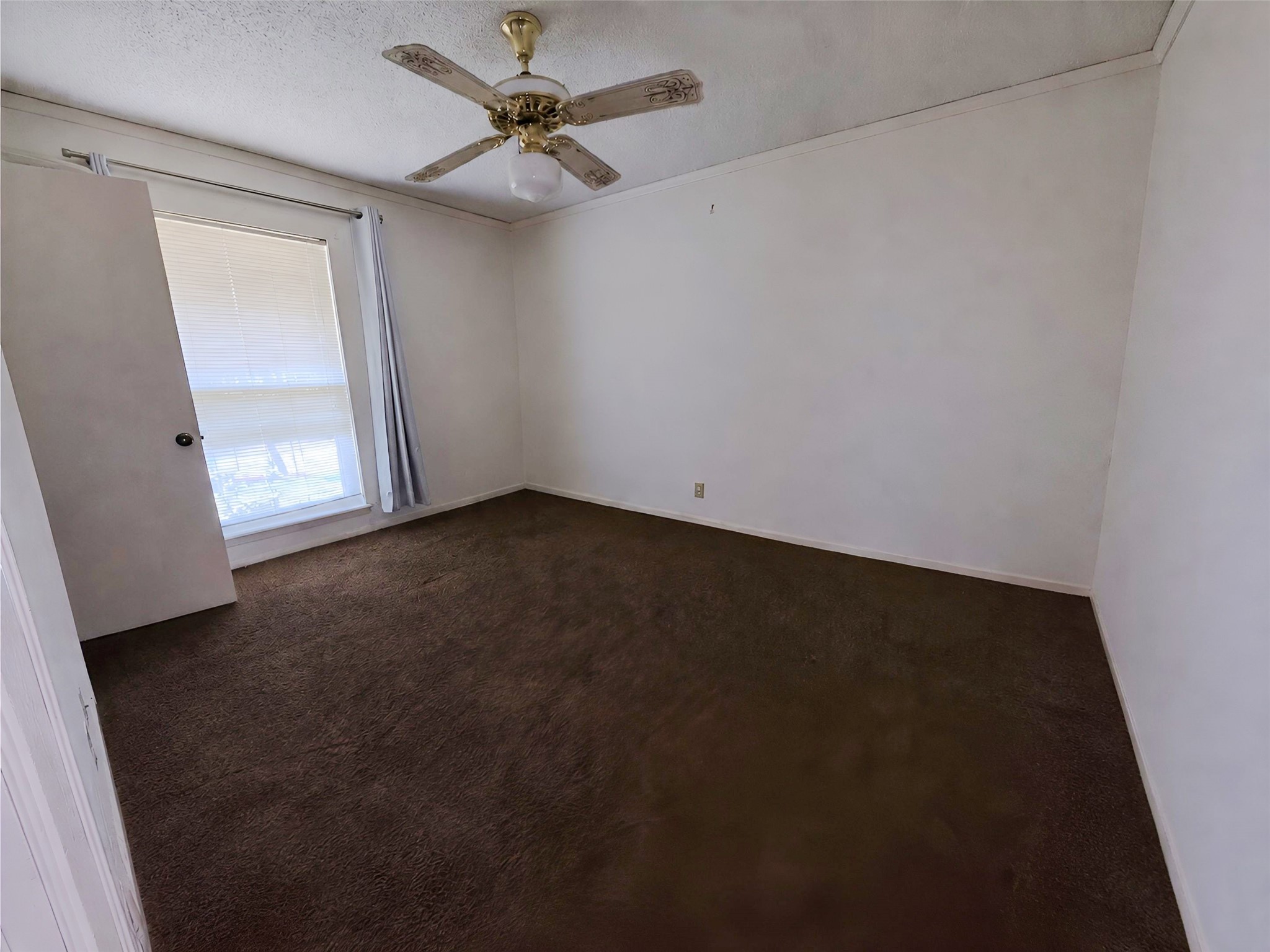 10104 Pond View Circle Property Photo 7