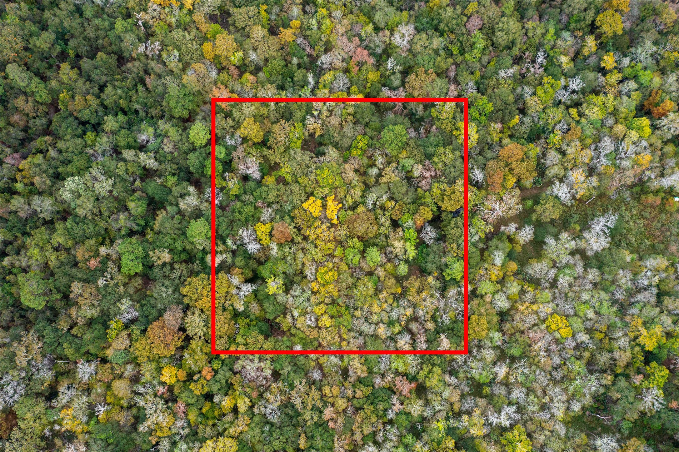 11628 & 11630 Cool Shadows Property Photo 1