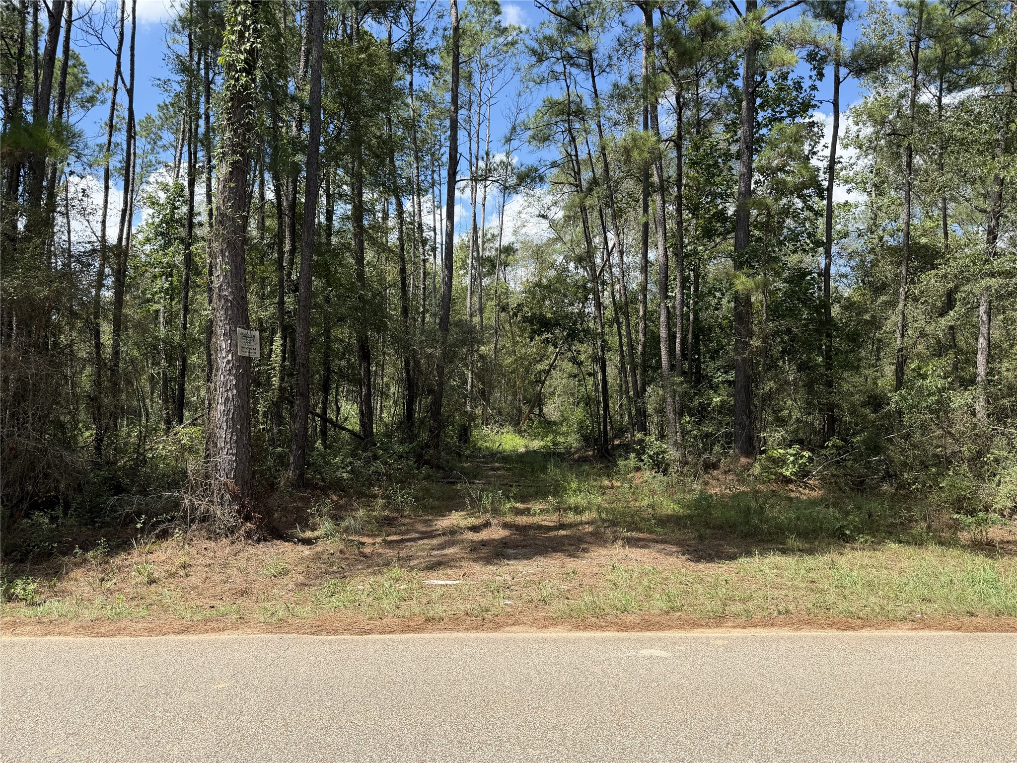2779 Miller Road Property Photo 4