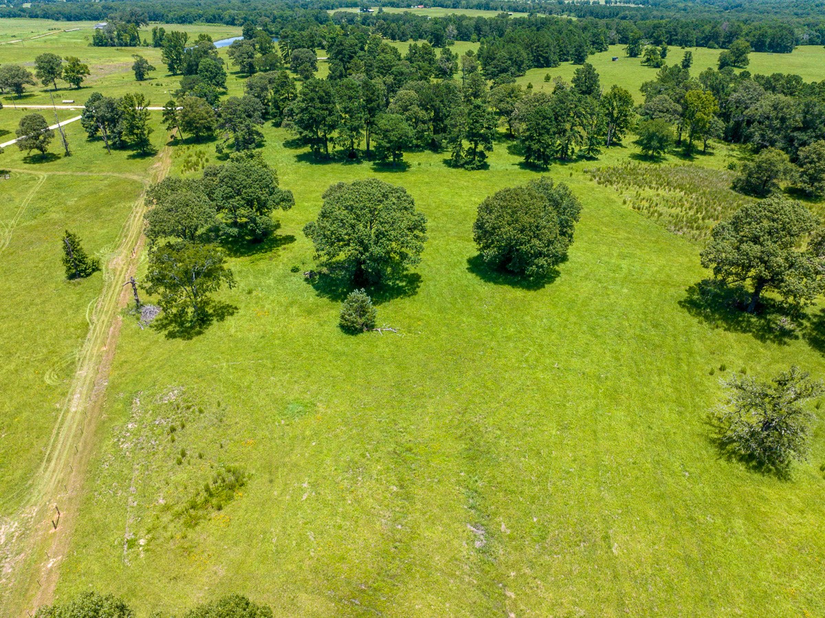 Tbd Live Oak Court Property Photo 7