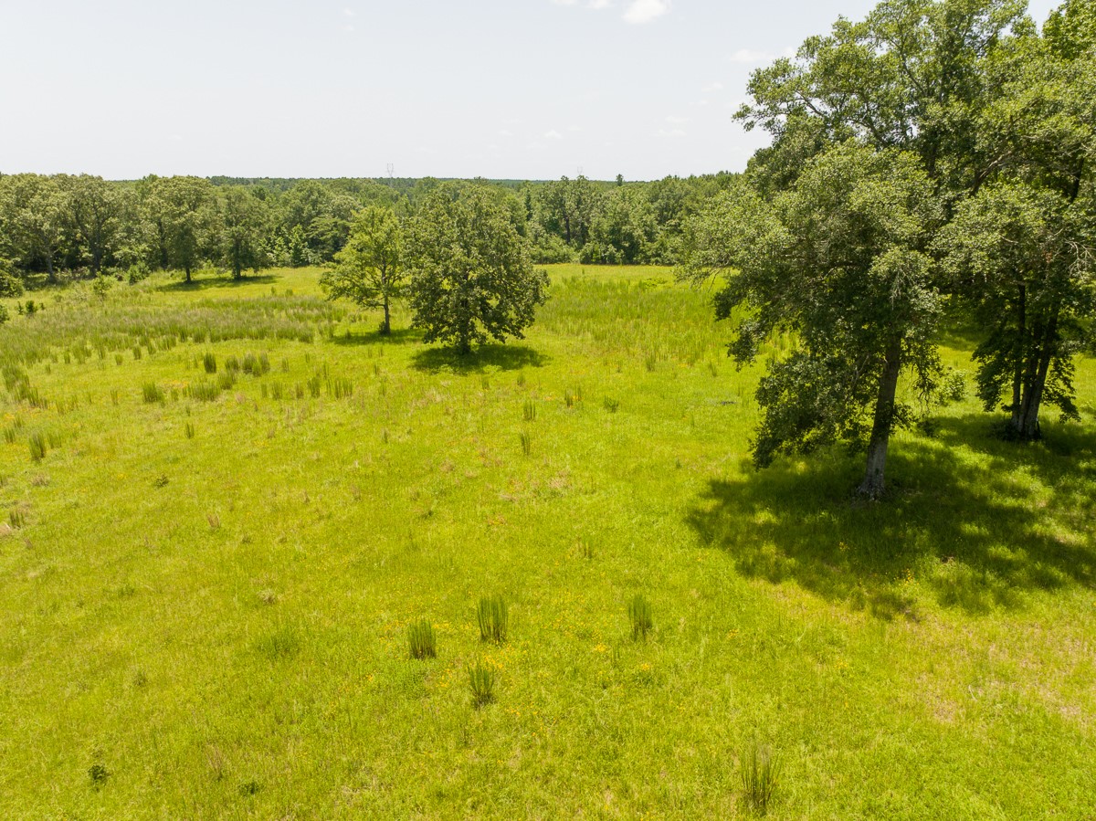 Tbd Live Oak Court Property Photo 9