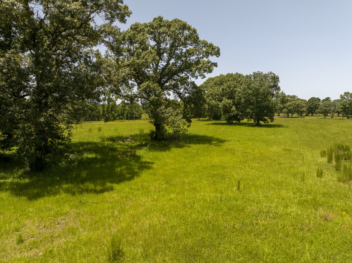 Tbd Live Oak Court Property Photo 11