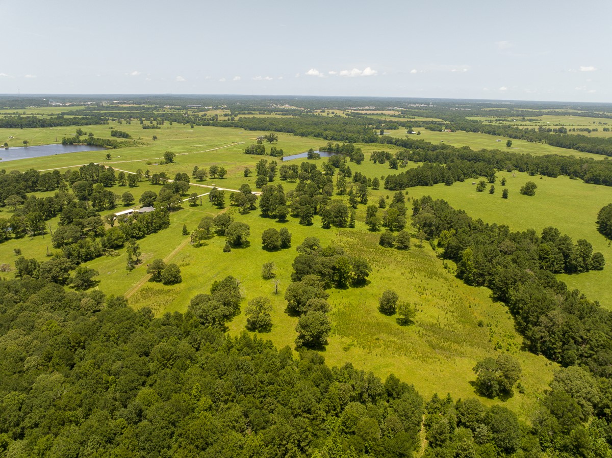 Tbd Live Oak Court Property Photo 14